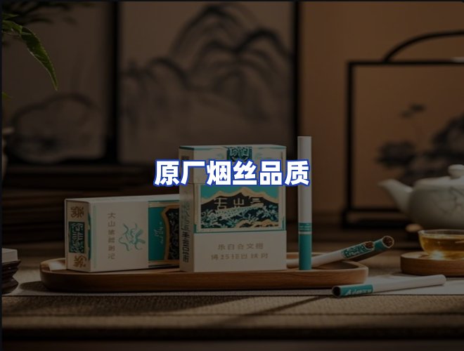 专业团队